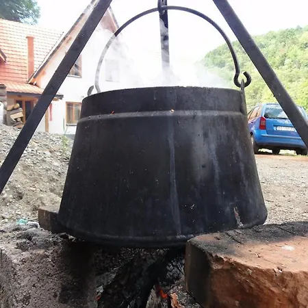 Staroplaninski