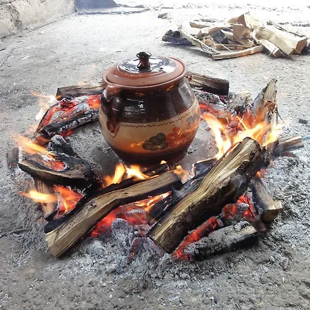 Апартаменты Staroplaninski *