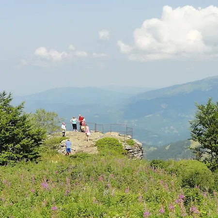 Апартаменты Staroplaninski