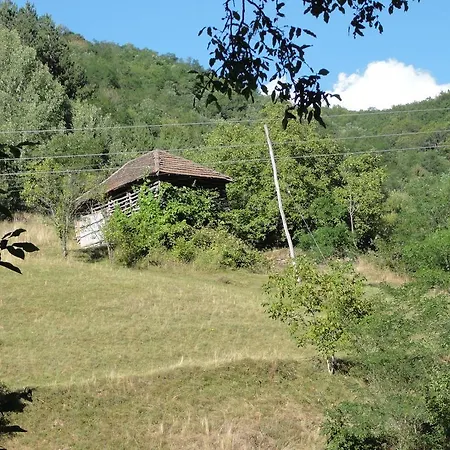 Апартаменты Staroplaninski