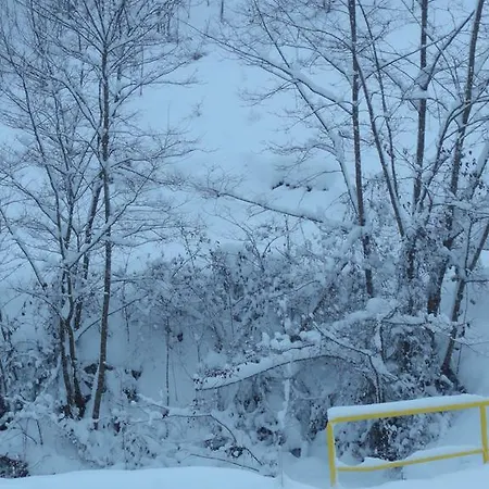 Staroplaninski Апартаменты *