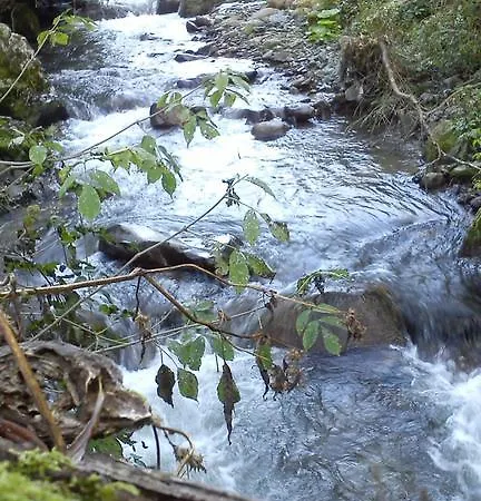 Staroplaninski Апартаменты Crni Vrh